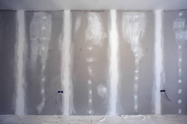 Best Water-Damaged Drywall Repair  in Maumee, OH